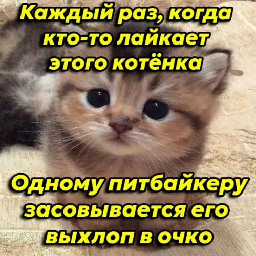 Смешная картинка №783670 Не проходите мимо