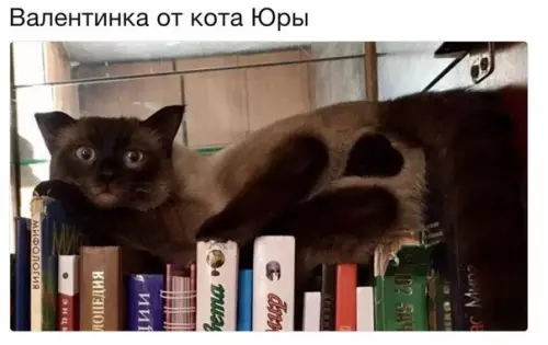 Смешная картинка №247039