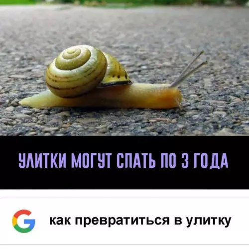 Смешная картинка №398363