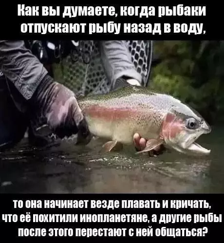 Смешная картинка №667418