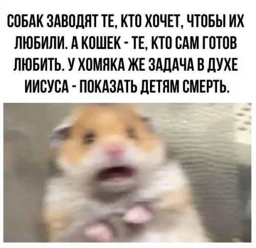 Смешная картинка №367648