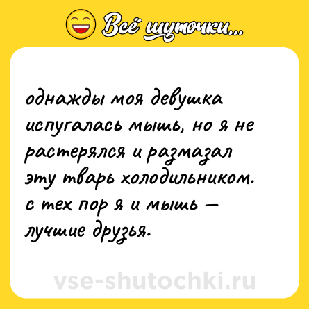 Шутка: однажды моя девушка испугалась мышь, но я не растерялся и размазал эту тварь холодильником. с тех пор я и мышь — лучшие друзья.