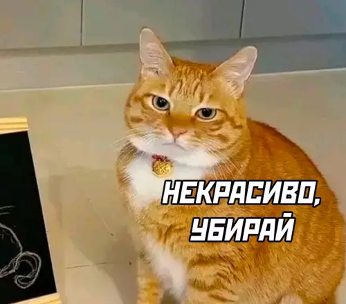 продолжение Смешная картинка №707129 Заказчик недоволен