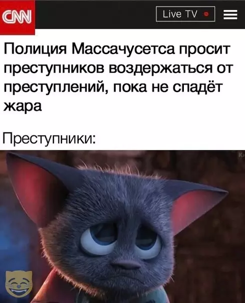 Смешная картинка №373768 #приколы #картинки #мемы ?