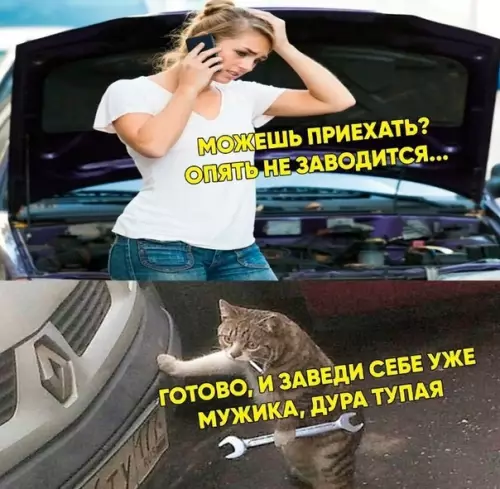 Смешная картинка №449599 Я тоже хочу такого кота