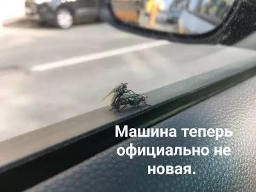 Смешная картинка №398322