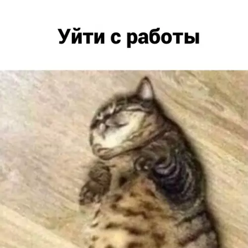 продолжение Смешная картинка №586193 Meчты должны сбываться