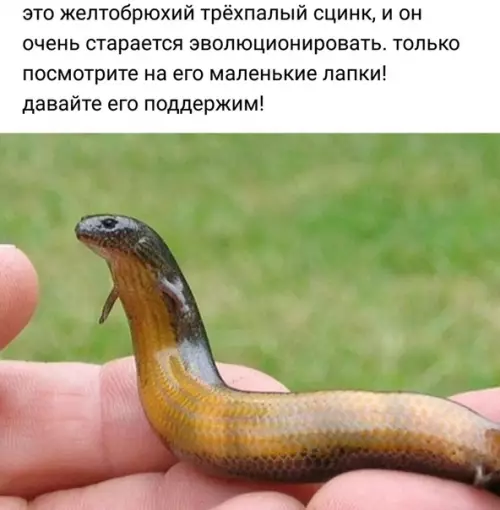 Смешная картинка №353472
