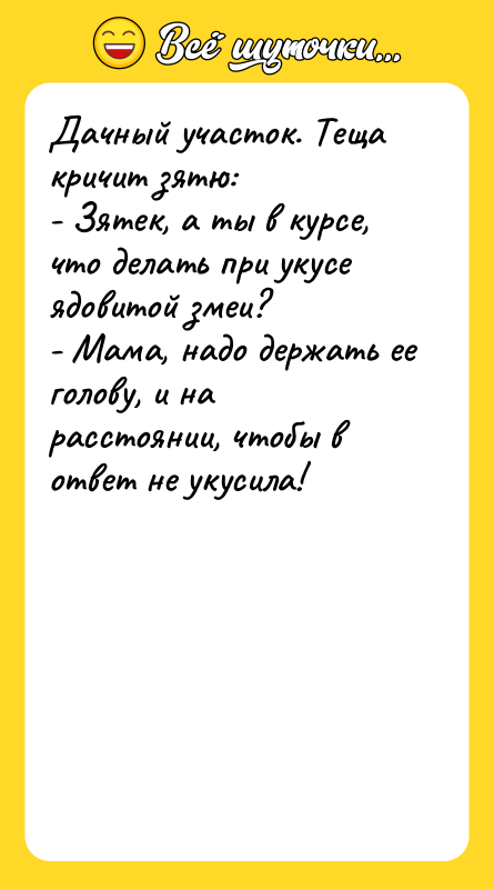 Дачный участок. Теща кричит зятю: - Зятек, а ты в