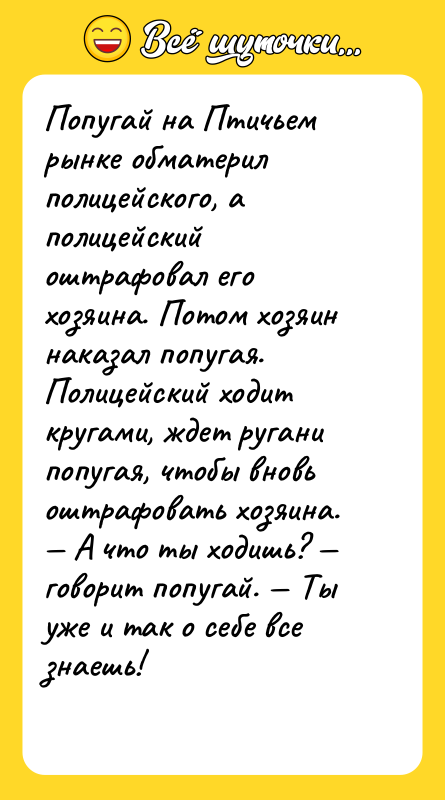 Попугай на Птичьем рынке обматерил полицейского, а полицейский оштрафовал его