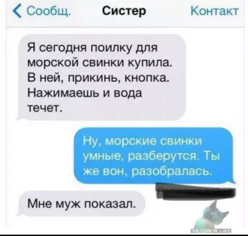 Смешная картинка №393800