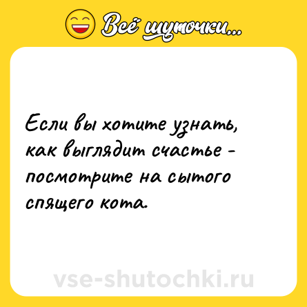 Шутка: Если вы хотите узнать, как выглядит счастье - посмотрите на сытого спящего кота.