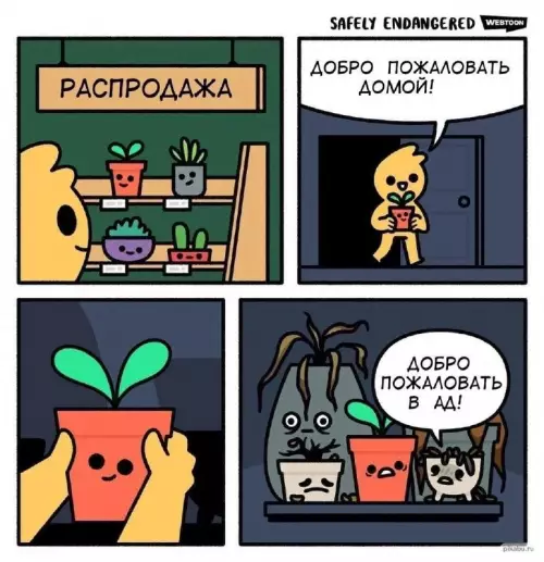 Смешная картинка №669177