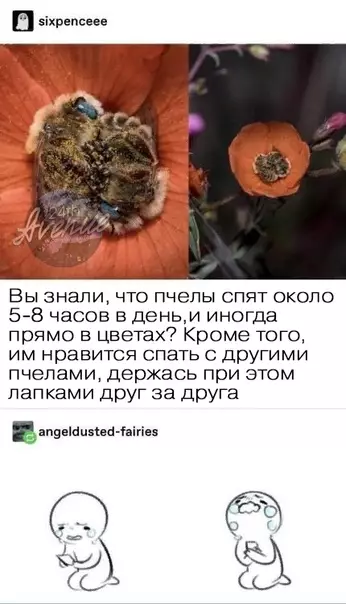 Смешная картинка №438443