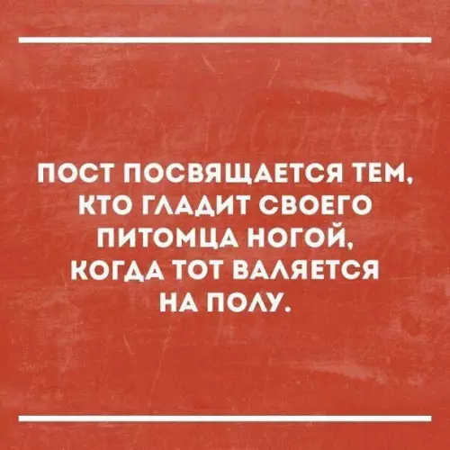 Смешная картинка №217683