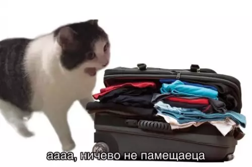 Смешная картинка №706166 Я, когда собираюсь на отдых: несколько пар трусов, носков, футболок

Она в это время: