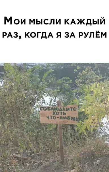 Смешная картинка №518633