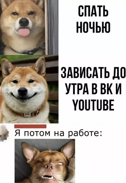 Смешная картинка №505427