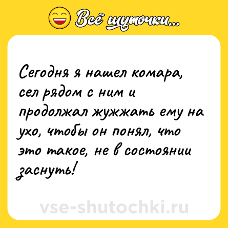 Шутка: Сегодня я нашел комара, сел рядом с ним и продолжал жужжать ему на ухо, чтобы он понял, что это такое, не в состоянии заснуть!