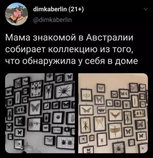 Смешная картинка №610216 Австралия