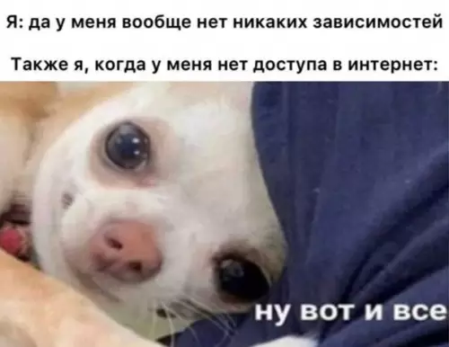 Зависимости? Не, не слышал 🤡 - Я: да у меня вообще нет никаких зависимостей Также я,
