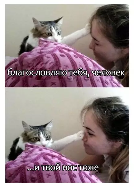 Смешная картинка №256773