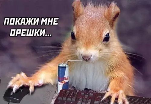 продолжение Смешная картинка №578045