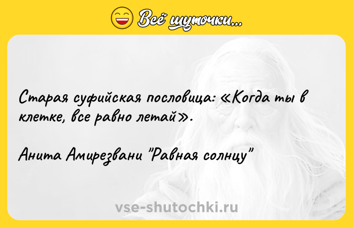Цитата: Старая суфийская пословица: Когда ты в клетке, все равно летай .Анита Амирезвани Равная солнцу