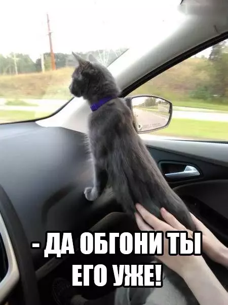 Смешная картинка №200615