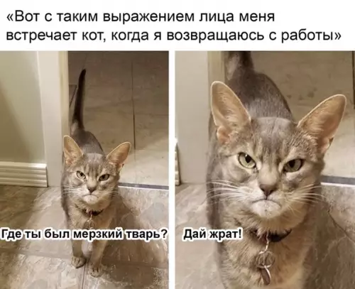 Смешная картинка №387698