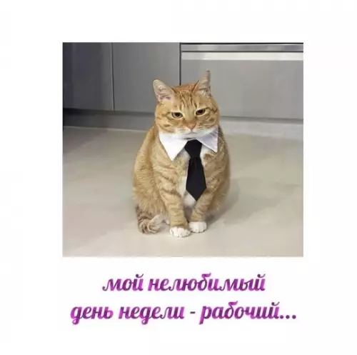 Смешная картинка №767939 Деловое