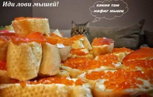 Смешная картинка №277321