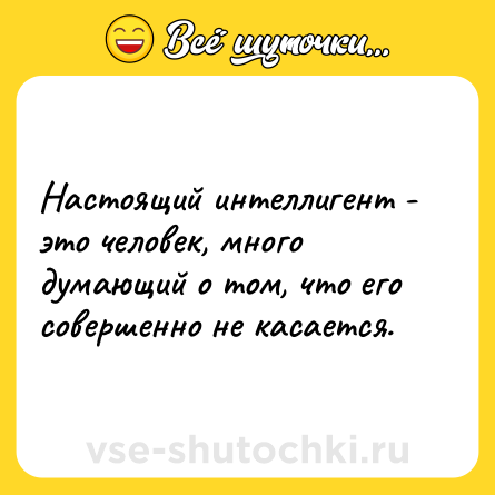 Шутка: Настоящий интеллигент - это человек, много думающий о том, что его совершенно не касается.
