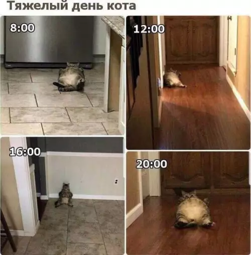 Смешная картинка №697933