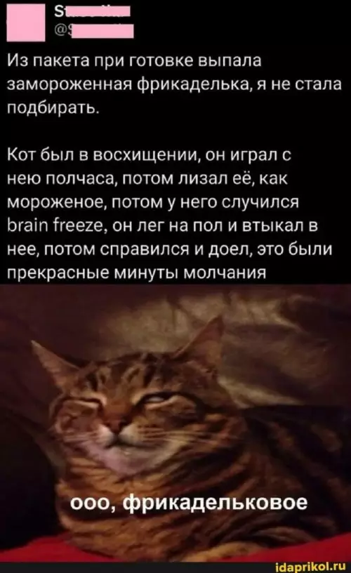 Смешная картинка №772544 Счастье коты