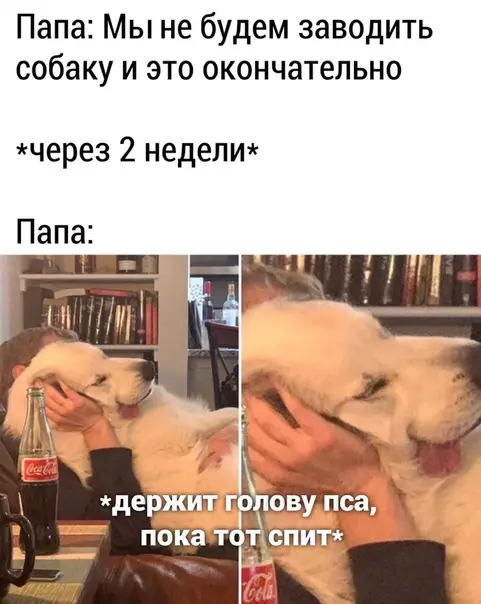 Смешная картинка №496625