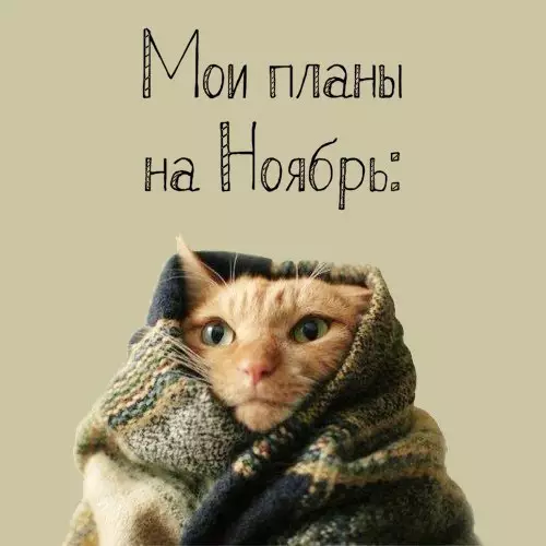 Смешная картинка №218972