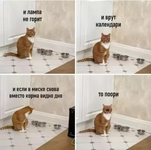 Смешная картинка №694392