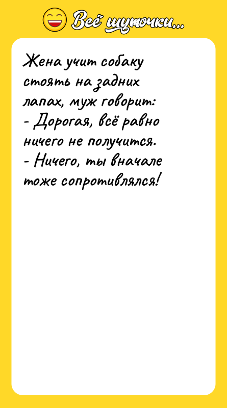 Жена учит собаку стоять на задних лапах, муж говорит: