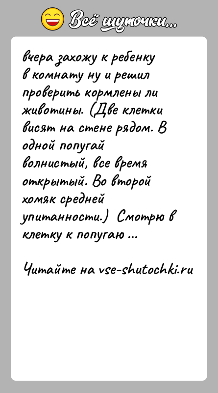 История: вчера захожу к ребенку в комнату ну и решил проверить кормлены ли животины. (Две клетки висят на стене рядом. В