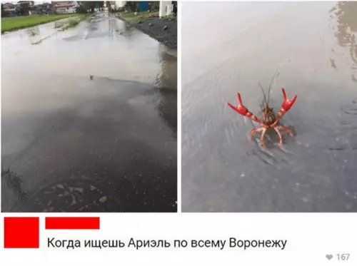 Смешная картинка №341526 Не все поймут