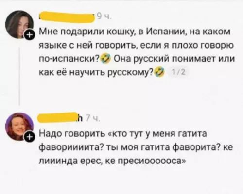 Как выучить кошку испанскому? 🐈‍⬛🇪🇸 - Мне подарили кошку, в Испании, на каком языке с ней