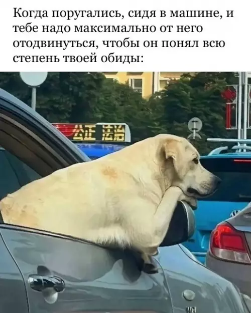 Мастер дистанции: уровень обида — Босс 🐶🚗 - Когда поругались, сидя в машине, и тебе надо максимально от