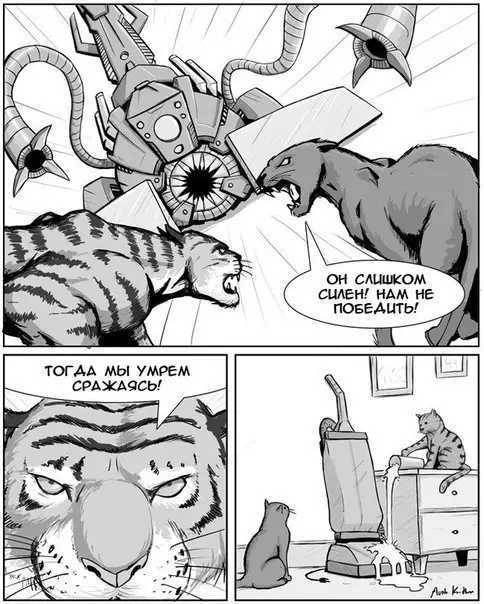 Смешная картинка №195871 кошки
