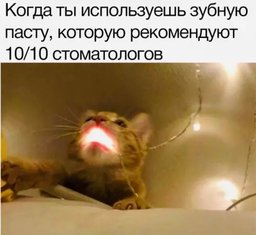 Смешная картинка №659084