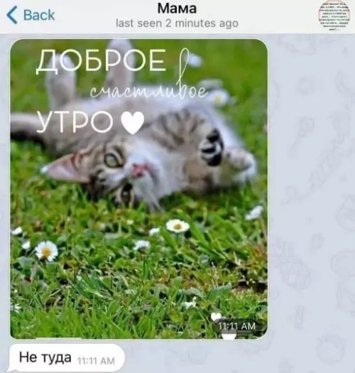 Смешная картинка №663183