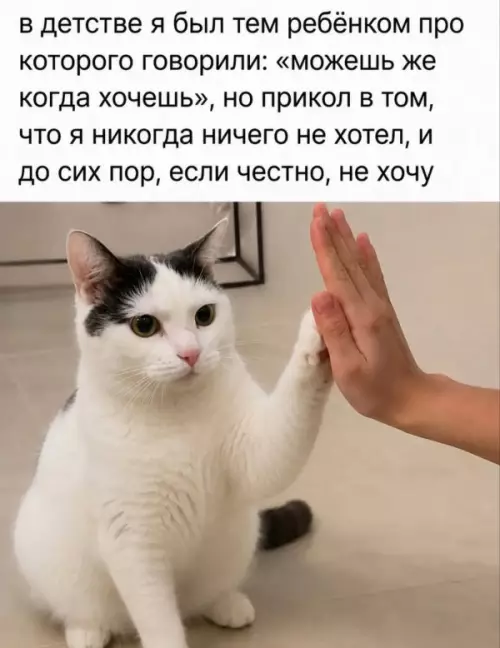 Когда лень даже дышать 🐈‍⬛ - в детстве я был тем ребёнком про которого говорили: можешь