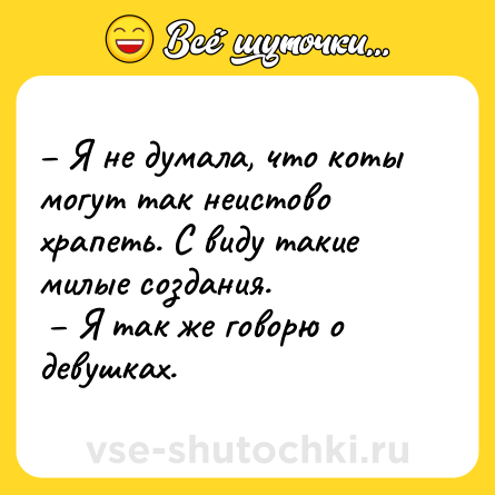 Шутка: – Я не думала, что коты могут так неистово храпеть. С виду такие милые создания. <br> – Я так же говорю о девушках.