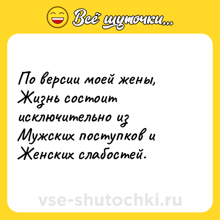 Шутка: По версии моей жены, Жизнь состоит исключительно из Мужских поступков и Женских слабостей.