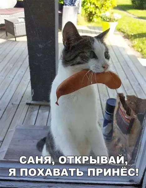 Смешная картинка №283433